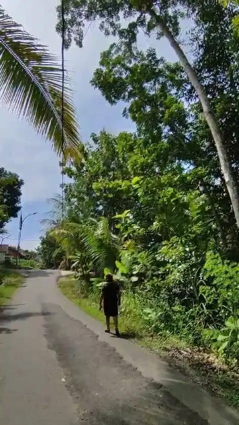 Dijual Tanah 582m2 di jalan raya wates bantul