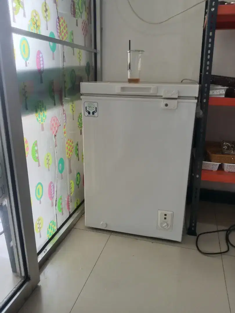 Freezer polyitron 100Ltr muluss