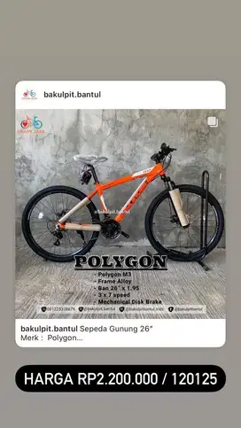 Sepeda Gunung MTB Polygon Exotic Phoenix Atlantis Foster  mtb  Ring 26