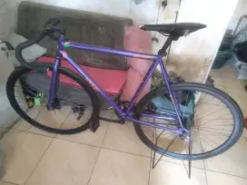 Sepeda fixie doltrap