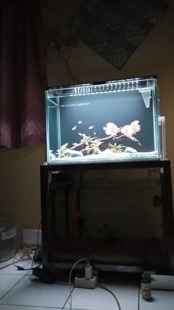 Aquarium sump filter