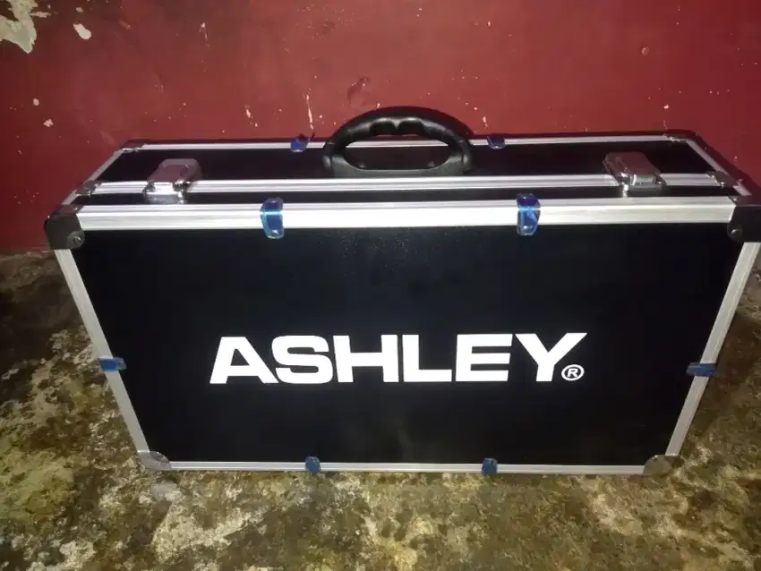 Ashley Pro 1 Mic Wireless Bekas Re Piu