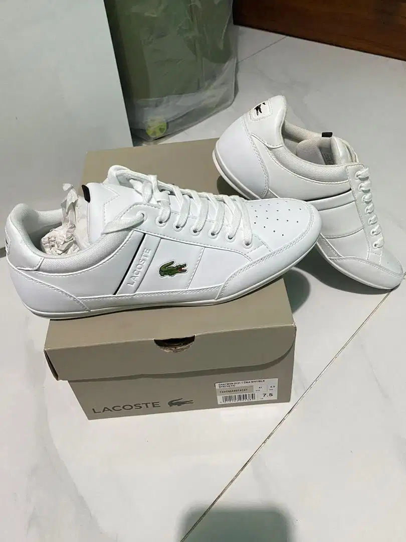 Sepatu Lacoste - Chaymon White