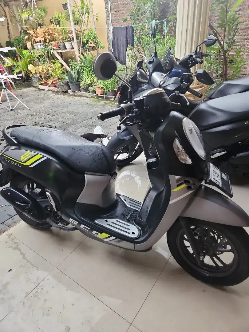 Scoopy doff 2023 Gbm