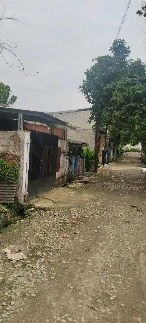 Disewakan atau Dijual Rumah Di Griya Parung Panjang