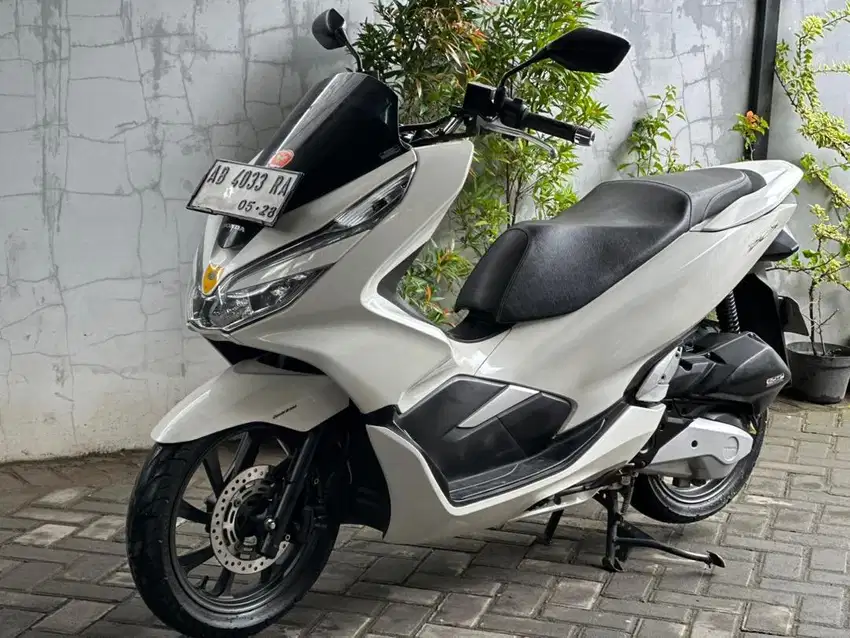 Pcx 2019 plat ab pajak on bagus