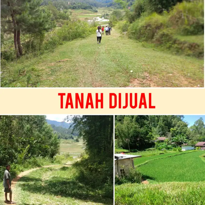 DIJUAL TANAH & SAWAH CEPAT DI BALUSU TORAJA