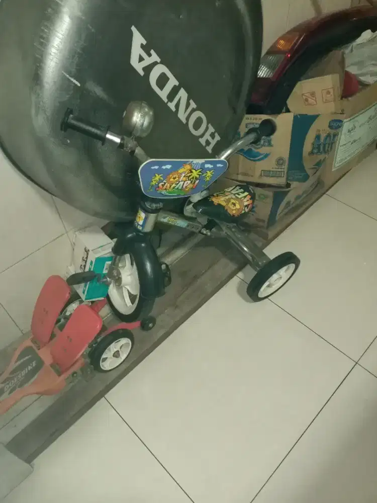 Sepeda anak anak