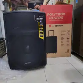 Polytron paspro 15f3