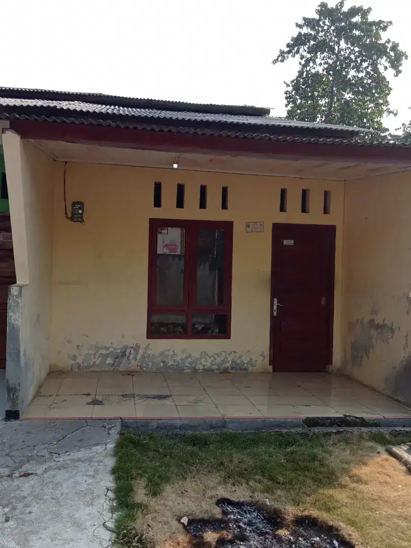 Disewakan rumah kontrakan