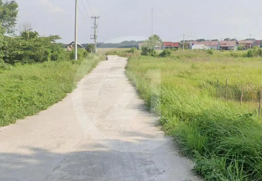 Dijual Tanah Untuk Perumahan Cikande Serang Banten