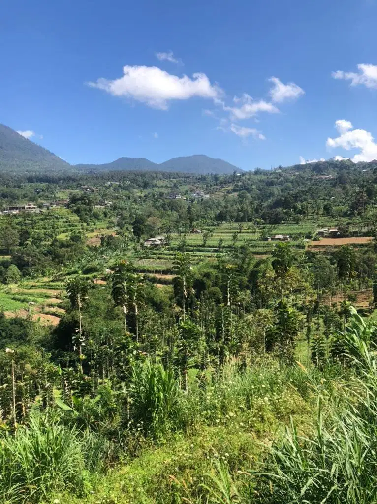 Dijual tanah komersil view gunung baturiti