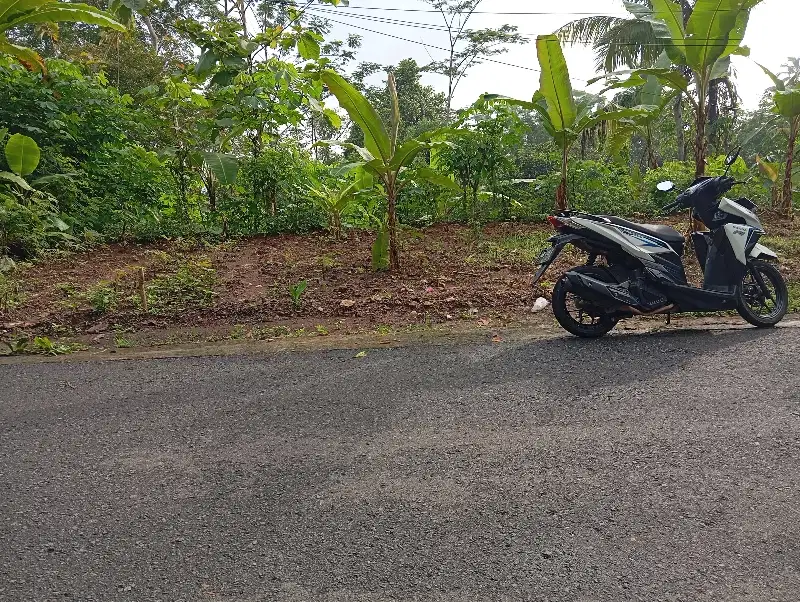 tanah pekarangan murah, dekat pasar tradision jonggrangan dan bpd