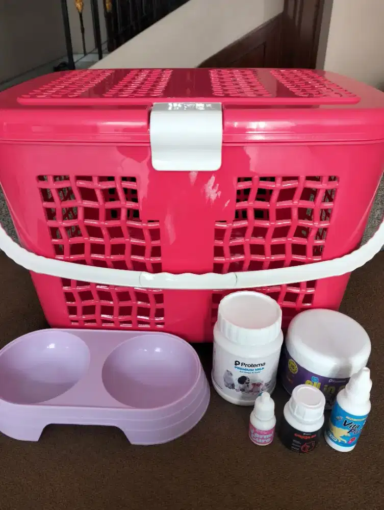 Satu Paket Perlengkapan Anabul