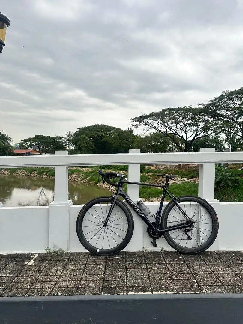 Frameset Roadbike Carbon Giant TCR Advance Pro Rim Brake