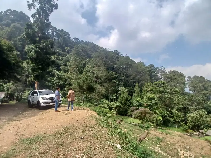 Dijual tanah di puncak Bogor