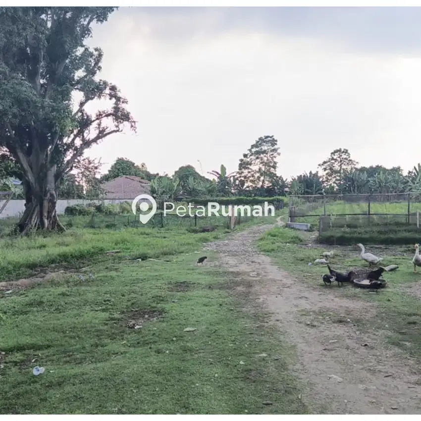 DIJUAL TANAH JALAN BUNGA RAYA MEDAN (HANNY )