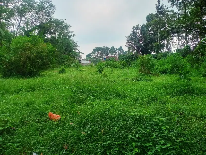 TANAH PEKARANGAN