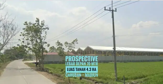 Tanah Luas LD 70 mtr, zona Industri Caruban MADIUN Mantapp