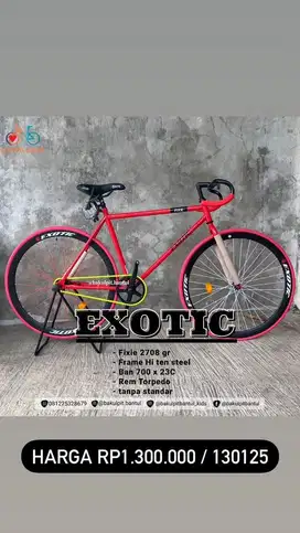 Sepeda Fixie Exotic 2708 GR