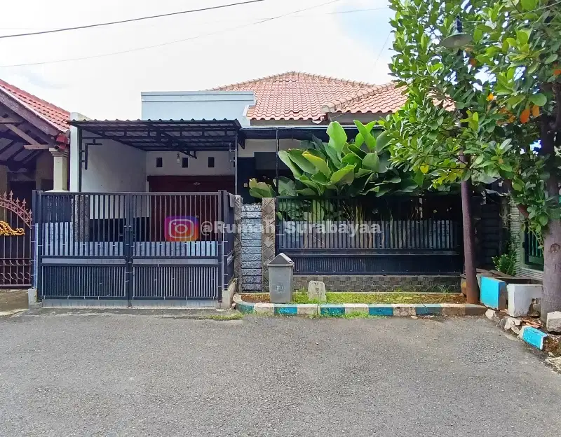 Rumah di Menanggal dkt Gayungsari, Ketintang, Jambangan,