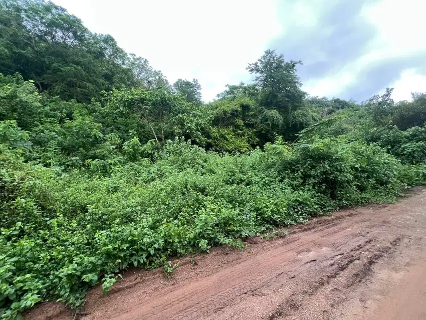 Tanah murah di Kuta Mandalika Lombok. Cocok untuk villa