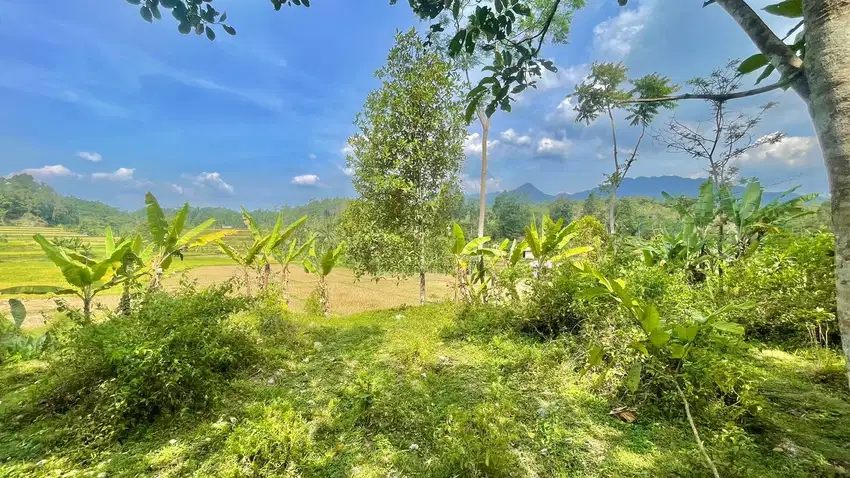 Tanah Kebun Udara Dingin di Bojong Purwakarta