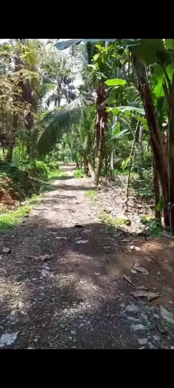 Tanah Murah dekat Bandara YIA