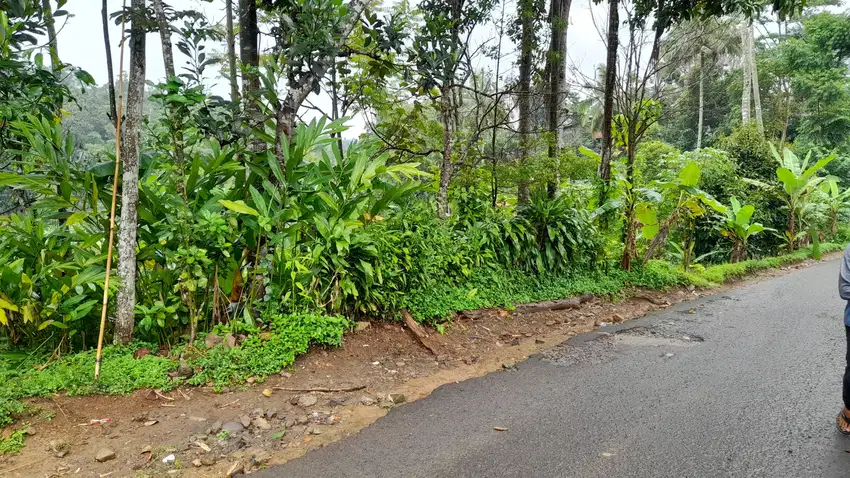 Tanah Kebun dekat Pemukiman Warga Daerah Sejuk Purwakarta 434 m2