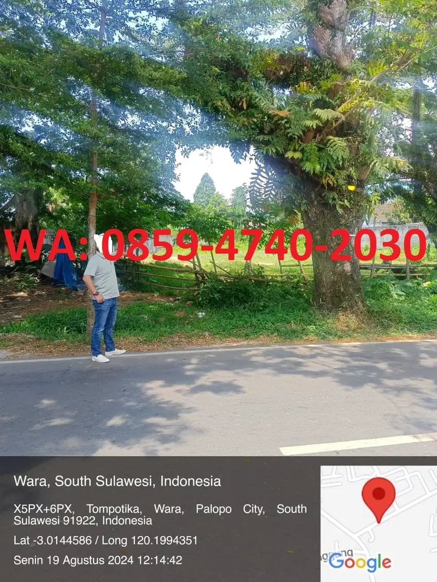 DIJUAL TANAH DIPINGGIR JALAN PALOPO