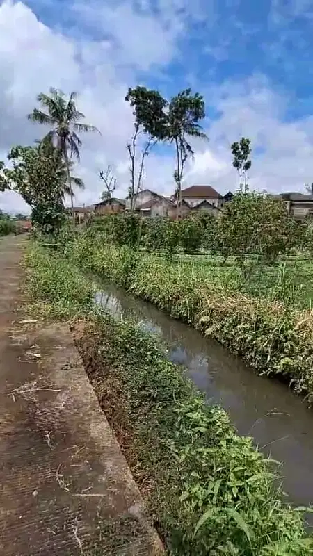 Tanah Kebun Jeruk Durian Alpukat dan Kandang Wajak Malang