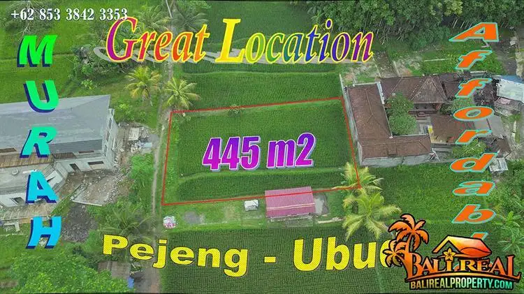 445 m2 with Rice Fields and Green Lush View in Pejeng Ubud