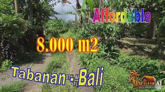 8,000 m2 Land for Sale in Pupuan Mostly Flat Contour