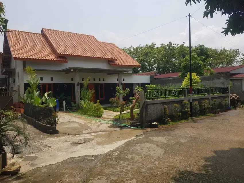 Jual cepat rumah asri siap huni di belakang pasar Sentolo