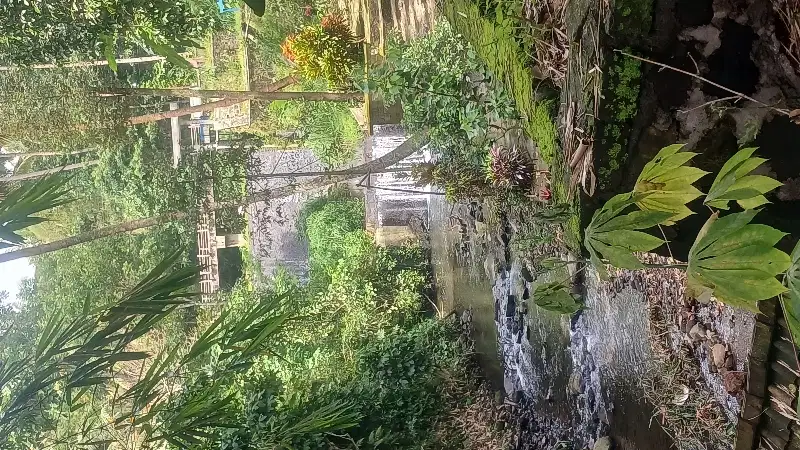 BU Tanah SHM Pekarangan view sungai kecil di Girikerto Turi