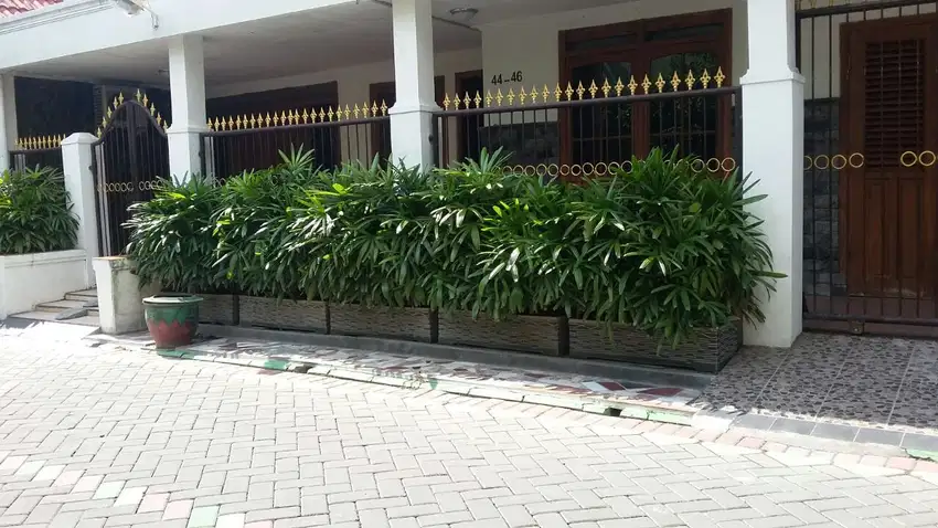 Rumah 1 Lantai Jalan Tanjunghulu GKB Kota Gresik Siap Huni FULL FURNIS