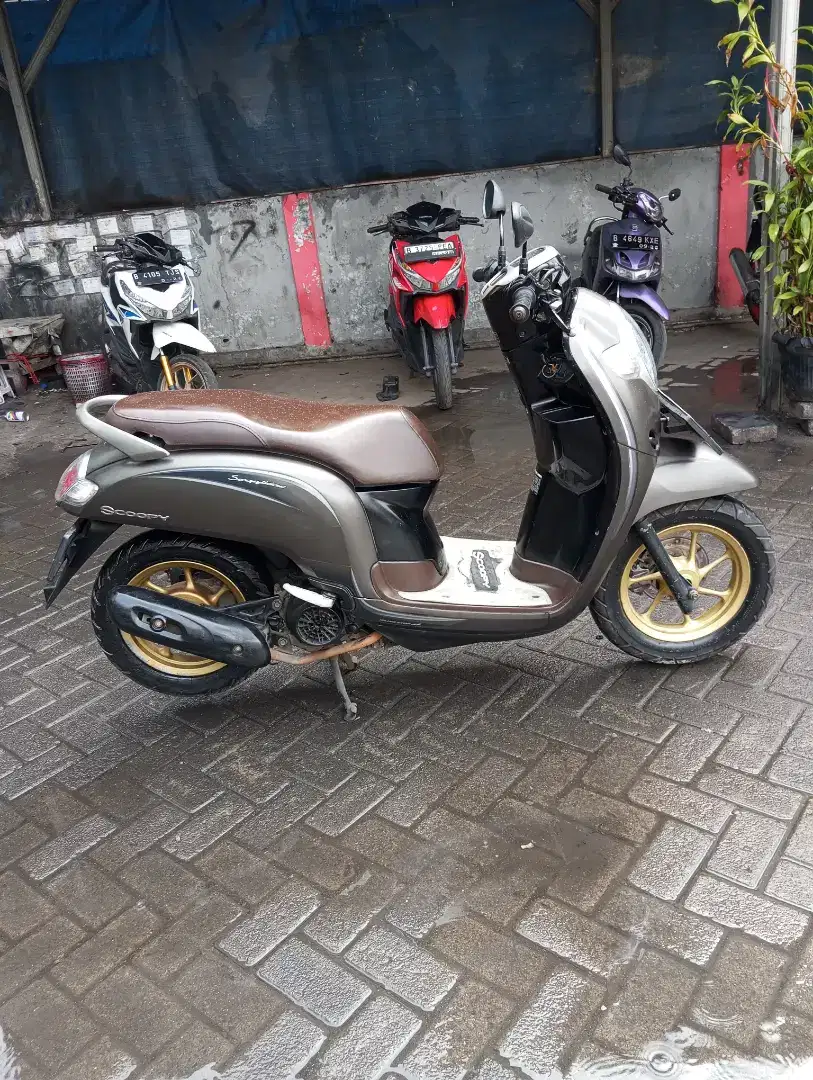 Scoopy donat 2019. Pajak.on