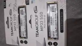 NvME SSD 256gb TeamMP33