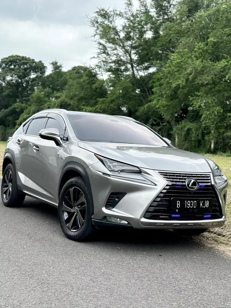 Lexus NX300 2018 STROBO BU CASH MURAH BANGETTT