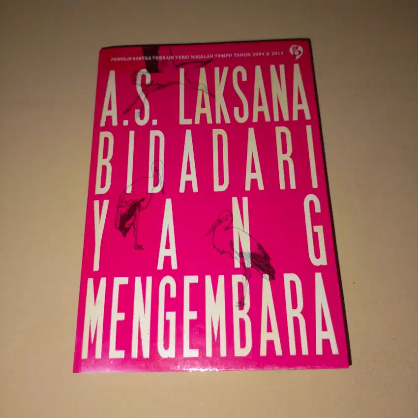 Jual Buku Second: Bidadari yang Mengembara