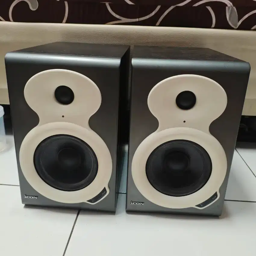 Speaker Monitor Studio Recording Flat ICON PX-C5A