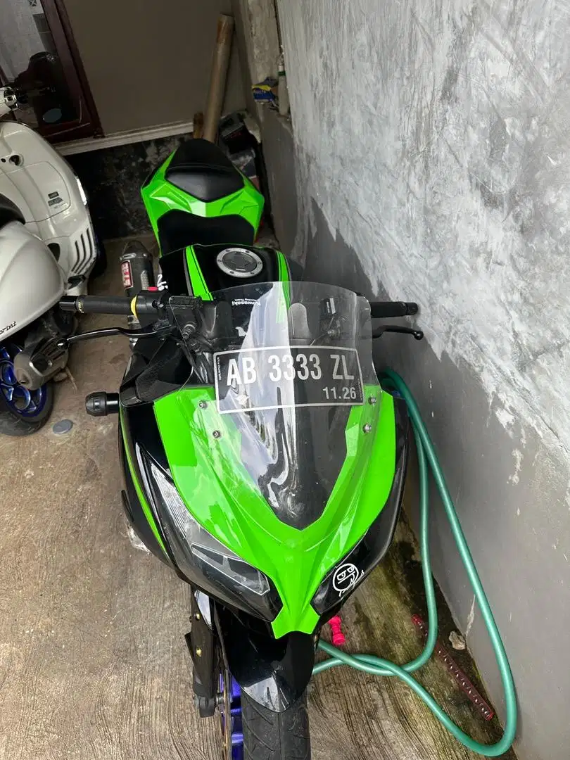 Ninja 250 F1 KRT EDITION