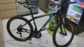 MTB Foster 26 mulus