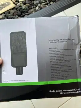 Microphone audio recording