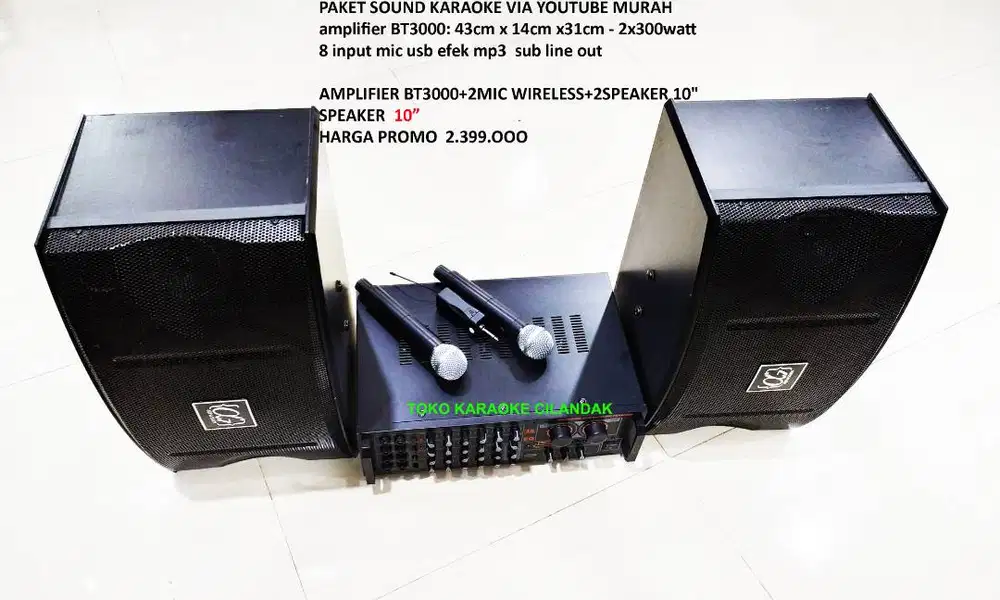 paket karaoke speaker 10in