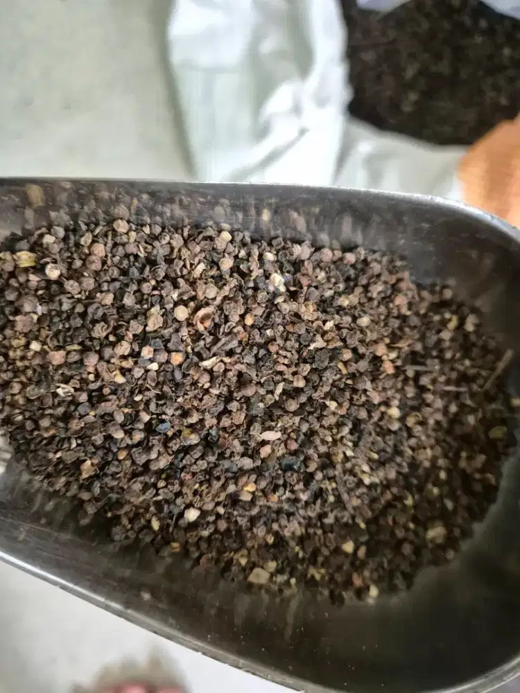 Dicari karyawan online shop