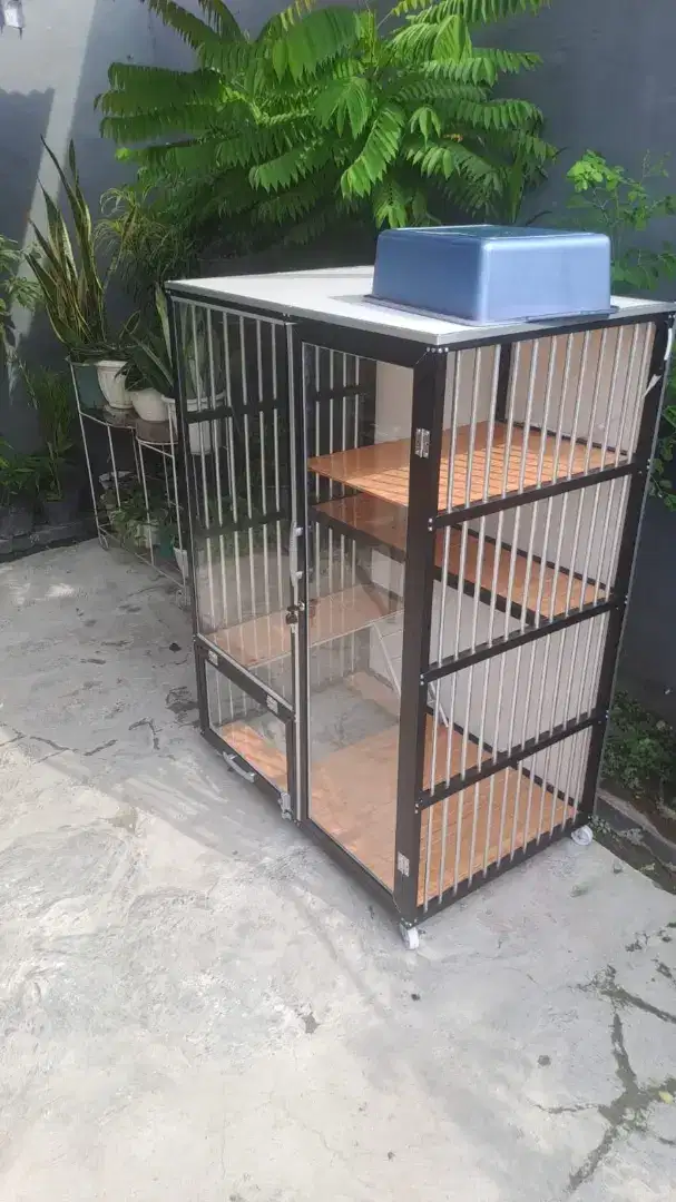 Kandang kucing 2 kamar