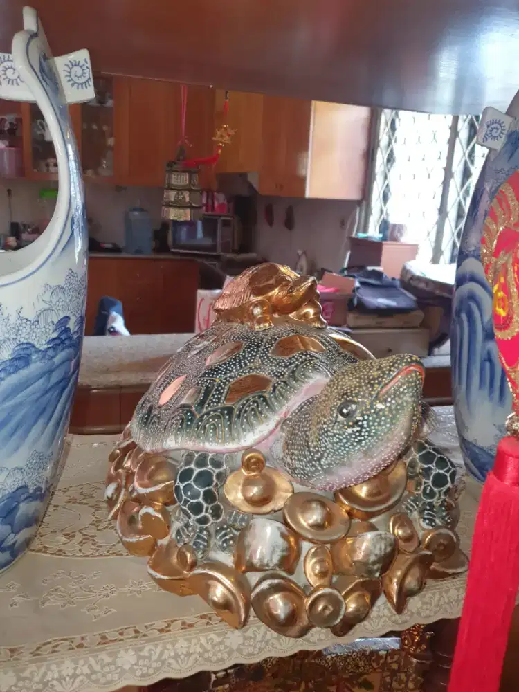 Kura kura keberuntungan