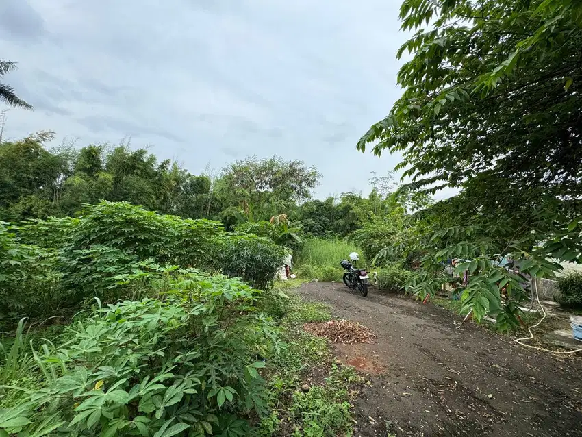 Parung tanah untuk perumahan cluster dekat ciplaz ramayana