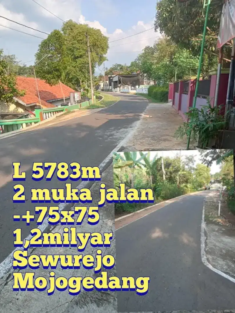 Tanah Tepi Jln Aspal Bonus Pohon Duren Mojogedang Karanganyar